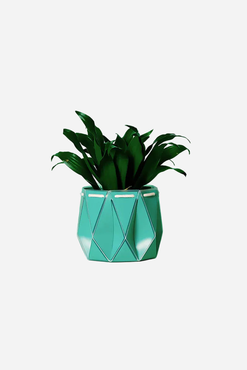 Geometric green planter with a plant on a light green background