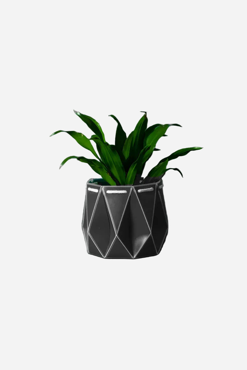 Geometric gray planter with a green plant on a dark gray background