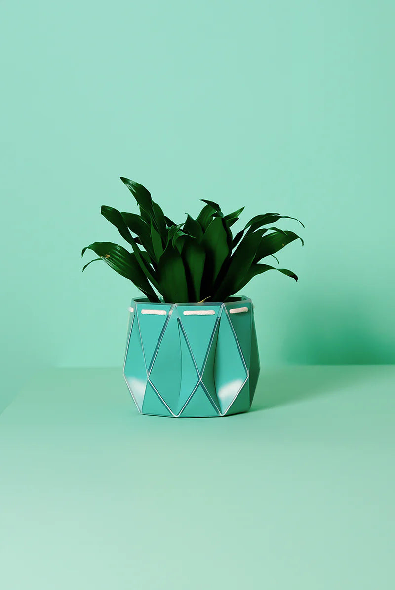 SELF-WATERING PLANT POT - 18CM