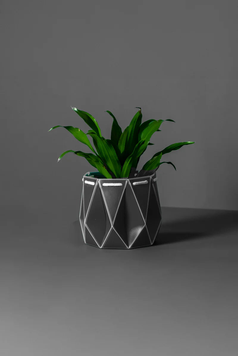 SELF-WATERING PLANT POT - 11CM