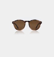MARVIN COQUINA SUNGLASSES